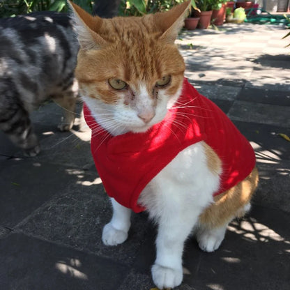 Solid Color Cat Clothes Winter Soft Kitten Sweater Sphinx Cat Fleece Vest Jacket for Small Medium Cats