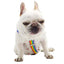 Elastic Dog Suspenders Diaper Keeper Suspenders for Small Medium Large Dog Clothes Female Dog Diapers Pants Skirts Belly Bands