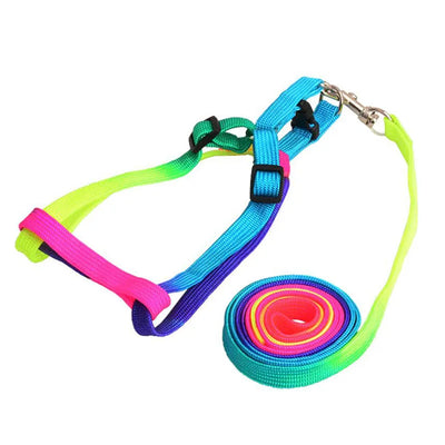 120cm Nylon Rainbow Pet Dog Collar Harness Leash Soft Walking Harness Lead Colorful and Durable Traction Ropes All Seasons