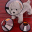 Prevent BiteTransparent Dog Cat Protection Cover Wound Healing Bath Grooming Cone Protective Pet Dog Medical Collar Dropshipping