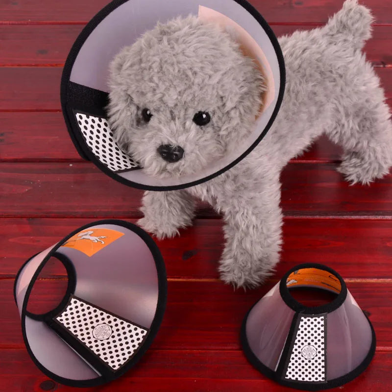 Prevent BiteTransparent Dog Cat Protection Cover Wound Healing Bath Grooming Cone Protective Pet Dog Medical Collar Dropshipping