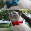 Velvet Cat Collar Solid Color Bowknot Puppy Chihuahua Collars with Bell Adjustable Safety Buckle Cats Bow Tie Pets Accessories