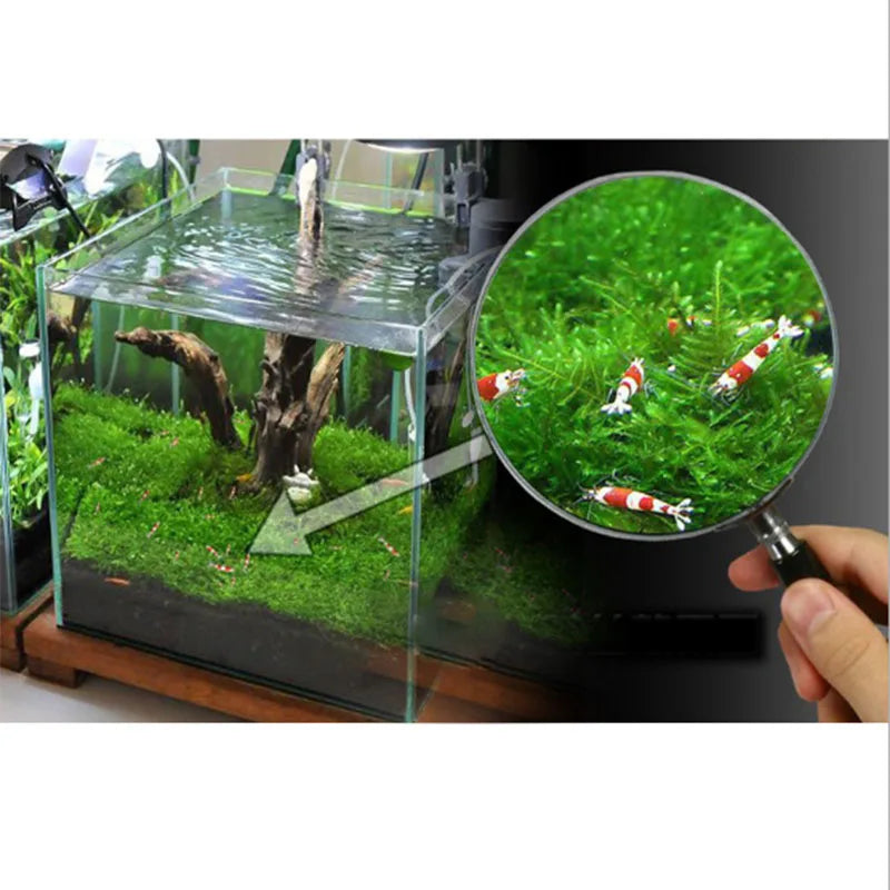 2PCs Stainless Steel Wire Mesh Pad Aquarium Fish Tank Decoration Plants Moss Net Decor 8x8 cm Fish Aquarium Decor Accessories