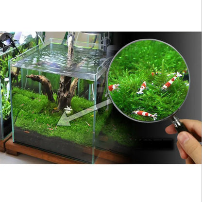 2PCs Stainless Steel Wire Mesh Pad Aquarium Fish Tank Decoration Plants Moss Net Decor 8x8 cm Fish Aquarium Decor Accessories
