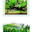 Clear and Transparent Small Aquarium Tank Rubber Strip Uniform White Glass Fish Tank Aquarium Glass