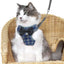 Plaid Dog Harness and Leash Set for Small Medium Dogs Cats Puppy French Bulldog Pet Bowtie Tuxedo Vest Harness