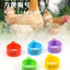 100Pcs Plastic 1.6/2.0cm Quail Bird Chicken Hen Pigeon  Poultry Chicks Duck Parrot Foot Clip Rings Mark Sign