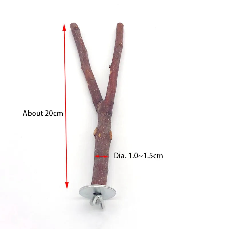 Natural Wood Pet Parrot Raw Wood Fork Tree Branch Stand Rack Squirrel Bird Hamster Branch Perches Chew Bite Toys Stick Supplies