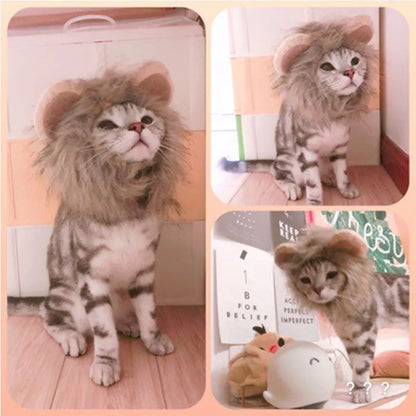 Lion Shaped Cosplay Hat for Cat Black Designer Pet Dog Accessories Winter Christmas Costume Kitten Head Wear Puppy Pet Supplies