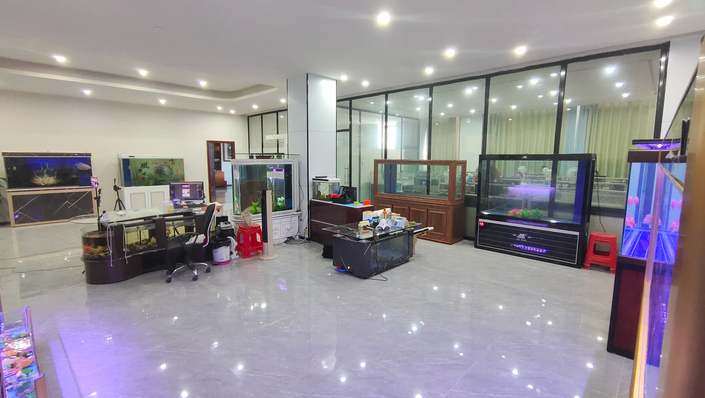 High Quality Small Breeder Box Fish Tank Aquarium Fish Tank Sale Intelligent small fish tank