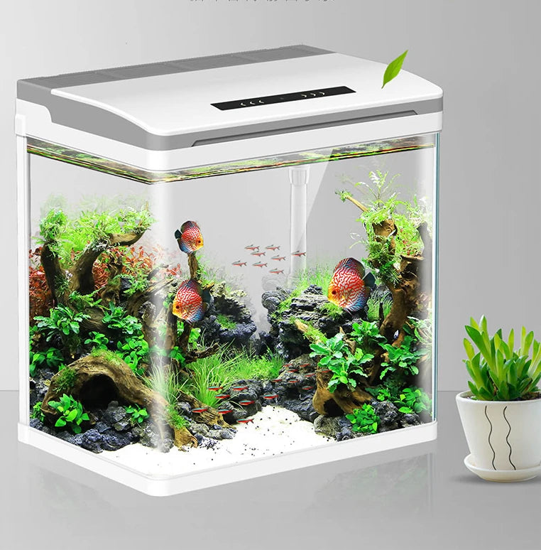 Factory direct sales of fish tank ultra-transparent glass small aquarium