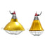 Thermal Insulation Lamp Shade with Switch for Breeding Animals, Heating Lamp Shade for Chickens Piglet  Waterproof Lamp Shade F