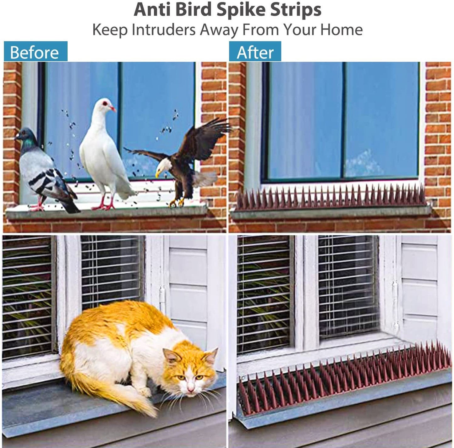 Gardening Bird Repellent Mat Fence Wall Spikes Bird Spikes Burglar Anti Cat Climb Anti-Bird Deterrent Spikes Straps Yard Supply
