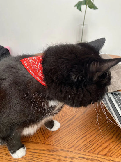 Small Dog Cat Bandana Collar Adjustable Puppy Dog Kitten Neckerchief PU Collar with Printed Triangular Scarf Pet Collar for Cat