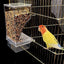 Bird Feeders Parakeet Feeders For Bird Cage Automatic Parrot Feeder Drinker Clear Acrylic Splash-Proof Bird Feeder
