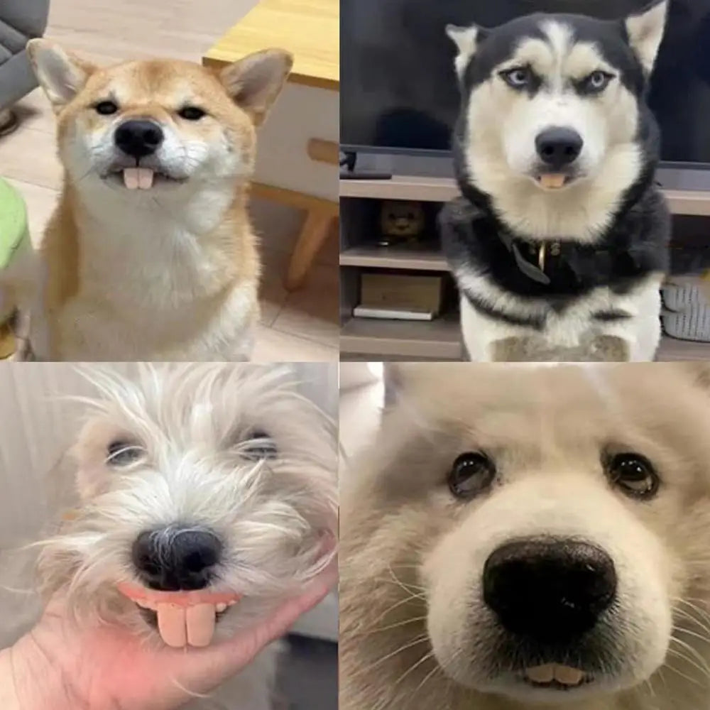 Pet CorgiDog False Teeth Toy Rabbit Front BuckTeeth Cover Funny Puppy Dentures Pet Decorating Cosplay Halloween Costume