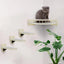 4 Pieces Wall Mounted Cat Climbing Shelves Set Wooden Platform Corner of Wall with Cat Small Jumping Platform Kitty Playing
