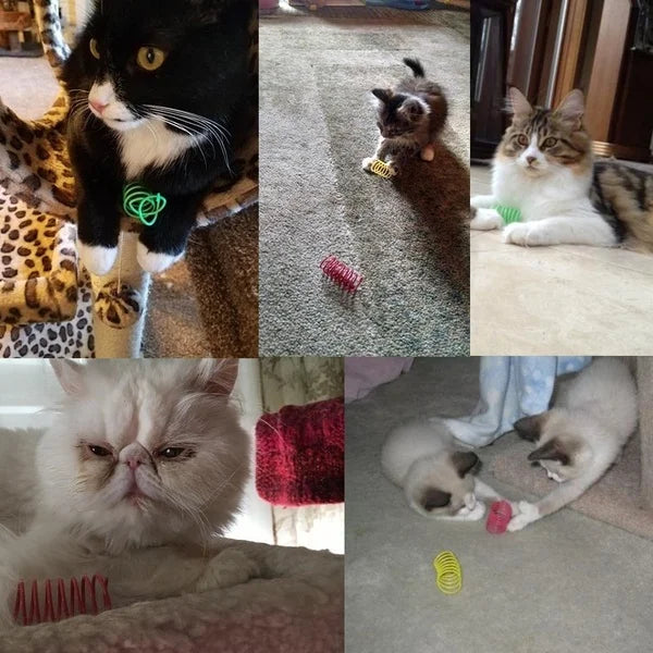 Kitten Coil Spiral Springs Cat Toys Interactive Gauge Cat Spring Toy Colorful Springs Cat Pet Toys Pet Products for Cats