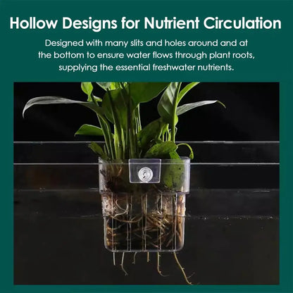 Aquarium Plant Basket Transparent Aquarium Decorations Plants Pot Aquatic Plants Holder Aquatic Plant Cup Aquascape Decor