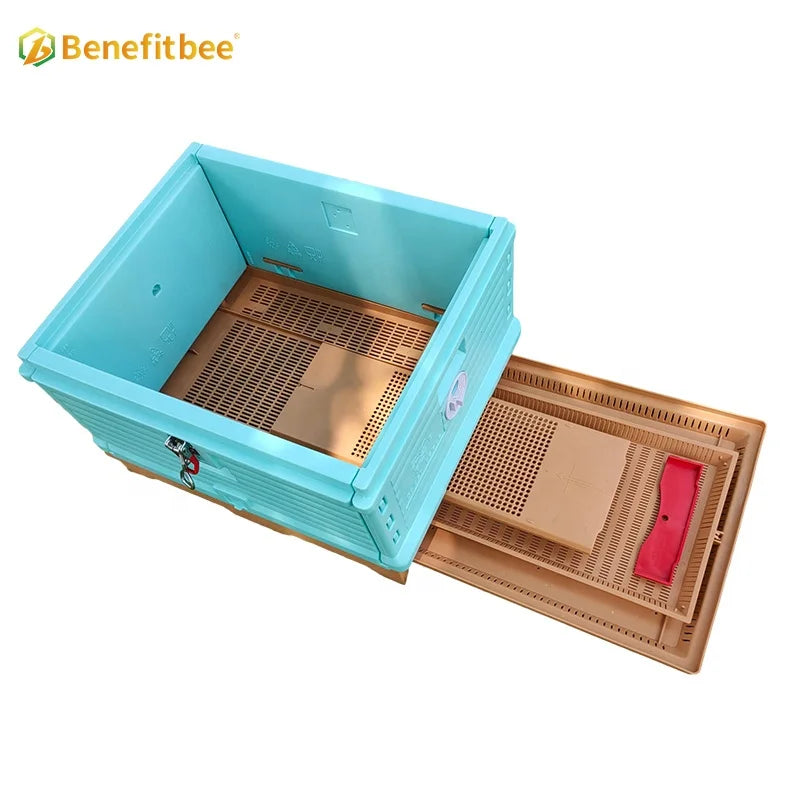 Benefitbee one layer 10 frames Langstroth beekeeping plastic bee hive box for beekeepers
