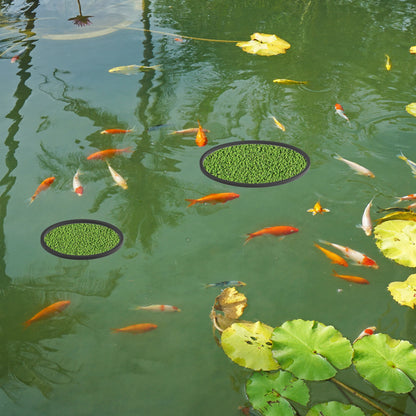UXCELL Fish Feeding Ring Fish Feeders Floating Plant Corral Aquarium Fish Tank Plant Corral Fish Food Feeding Assistant 5pcs