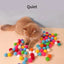 Cat Toys Interactive Launch Training Cat Toys Cat Supplies Creative Mini Pompoms Games Stretch Plush Ball Toys Pet Accessories
