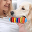 Colorful Puppy Teether Dog Toys Dog Teething Toys Dog Teeth Cleaning Toys Interactive Dog Toys Multifunctional Pet Playing