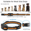 3300Ft Dog Training Collar with Remote Rechargeable Waterproof E Collar Beep Vibration Shock High Quality Pet Training