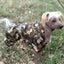 Dogs Raincoat Adjustable Puppy Dog Raincoat Waterproof 4 Legs Raincoat for Small Dogs Outdoor Pet Poncho with Reflective Strap