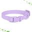 New Macaron Colored PVC Dog Collar Waterproof Dirt Resistant Easy To Clean Pet Collar Adjustable Neck Collar Pet Dog Collar Set