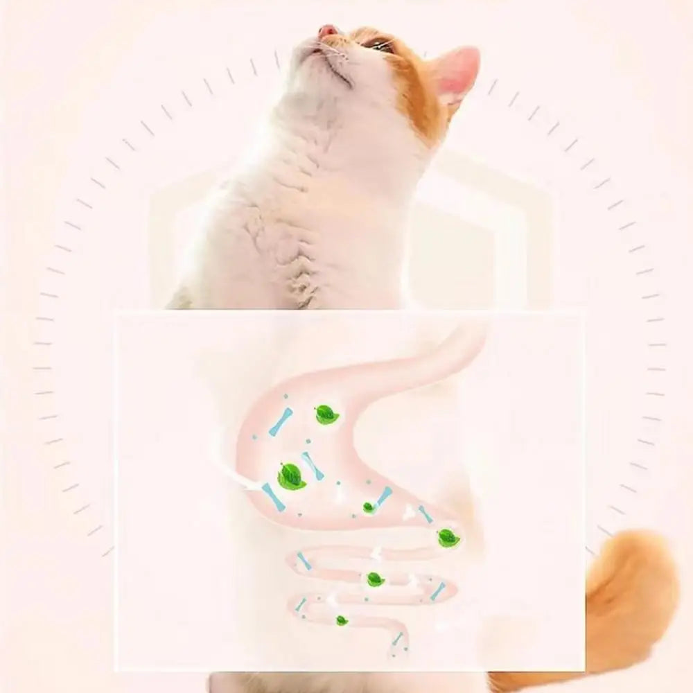 Catnip Ball for Cats Wall Rotatable Cat Licking Balls Edible and Healthy with Spring Ball Cat Licking Balls for Cats Catnip