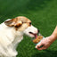 Dog Water Bottle Pet Travel Drinking Bottle 5 in 1 Outdoor Pet Accessories with Dog Drinking Bottle Food Storage Container