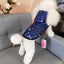 Pet Dog Winter Coat Clothes Warm Dog Jacket Puppy Outfit Dog Coat Chihuahua Hoodies For Small Medium Dogs Yorkshire Teddy Outfit