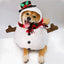 Halloween Dog Clothes Funny Pet Dogs Cosplay Costumes Set Christmas Dog Costume Comical Outfits for Pet Cat Puppy Party Clothing
