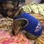 Dog Clothes Shirt Pet Cooling Vest Small Dogs Comfortable Costume Puppy Outfits Breathable Clothes Yorkshire Terrier Chihuahua