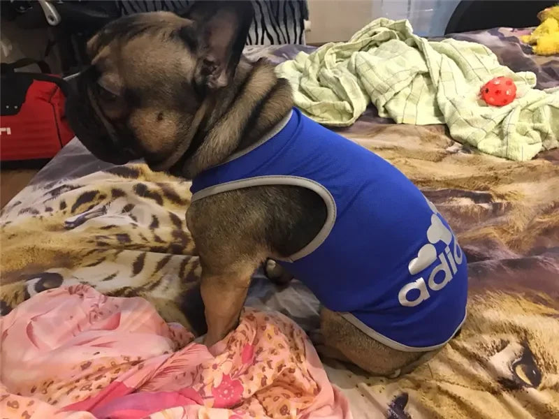 Dog Clothes Shirt Pet Cooling Vest Small Dogs Comfortable Costume Puppy Outfits Breathable Clothes Yorkshire Terrier Chihuahua