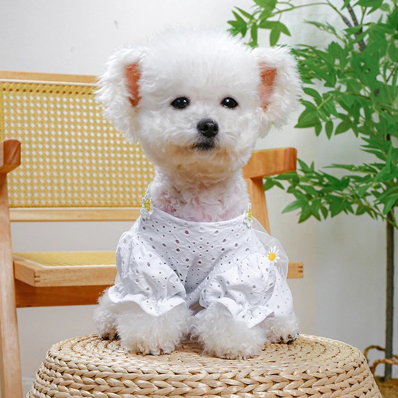 Daisy Embroidery Fancy Dresses for Small Dogs Hollow Veil Princess Party Cat Clothing York Dog New Designer Spring Puppy Clothes