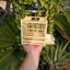 Grasshopper Cage, Bamboo Single Grid, Pure Handmade Bamboo Woven Cage, Classic Insect Crawling Tool with Drawer
