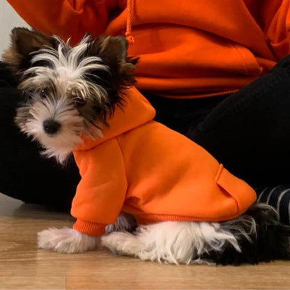 Winter Pet Doggy Clothing Leisure Small Dogs Hoodies Coat for Puppy Soft Warm Cat Dog Sweater Sweatshirt Teddy Chihuahua Clothes