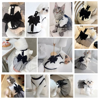 Summer Puppy Clothes Luxury Dog Dress Bow Lace Dog Skirt Cotton Dog T Shirt Girls Dog Costume Chihuahua Bichon Clothing Apparel