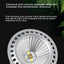 Reptile UVA + UVB Full Spectrum Turtle Basking Platform Sun Lamp Sunbathe Heat Lamp for Lizard Amphibians 5.0 10.0 Reptile Light