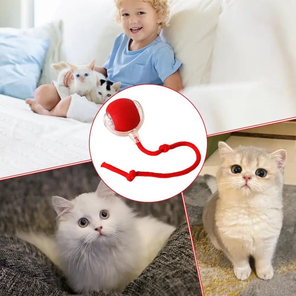 Electric Cat Ball Toys Automatic Rolling Ball Cat Puzzle Toy Cat Balls Smart Pet Interactive Toy Dog Cat Training Playing Toys