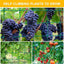 Green Anti-Bird Netting for Ponds, Pools, Gardens - Protects Plants, Fruits, Vegetables from Pests