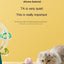 Funny Cat Ball Pet Toy Ball Gravity Rolling Ball Cat Self-Happiness Ball Bite-resistant and Boredom Relieving Automatic Rolling