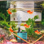 Pond Pump Anti-leakage And Water Proof Pond Pump Water Fountain Pump With No Pollution Water Pump For Fountains Aquarium Fish