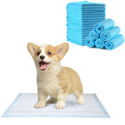 10pcs Dog Training Pee Pads Super Absorbent Puppy Dog Diaper Disposable Healthy Clean Nappy Mat for Pets Dairy Diaper Supplies