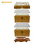 Benefitbee Polystyrene plastic bee hive box 2 layers multifunctional beehive for beekeeping