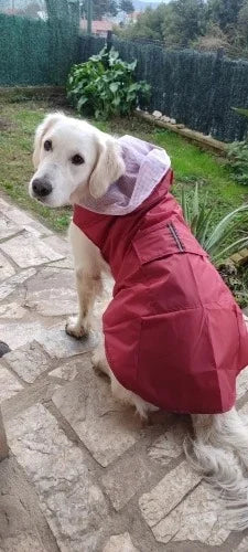Big dog raincoat reflective waterproof windproof hooded raincoat large dog clothing outdoor raincoat  dog clothing jacket