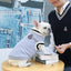Winter Dog Fleece Sweaters For Large Medium Little Dogs Warm Small Dog Clothes Korea For French Bulldog Chihuahua Cute Pug York