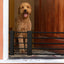 Freestanding Dog Gates Retractable Punch Free Pet Fence Barrier Household Reusable Door For Small Medium Dogs